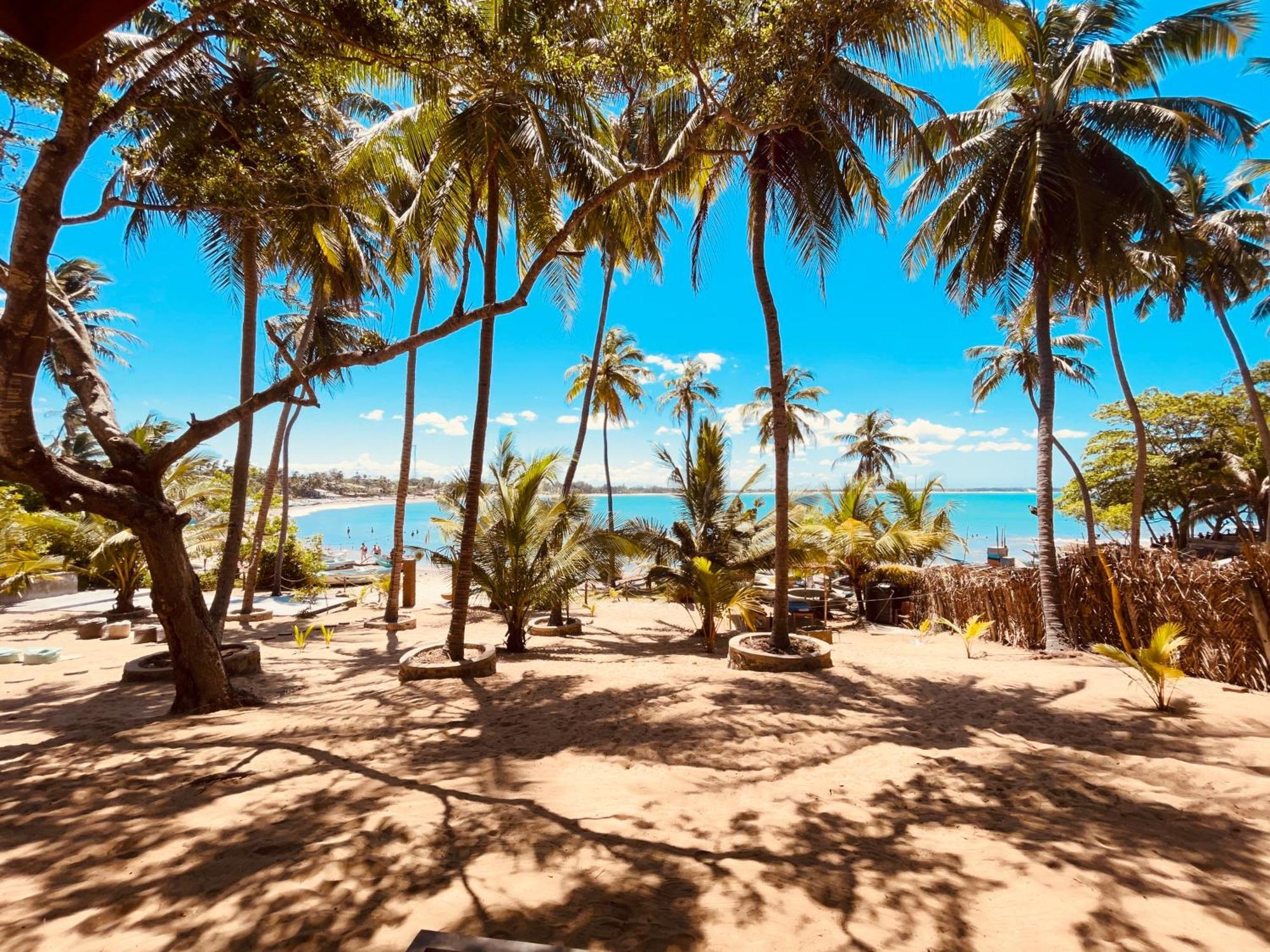 Hostel Coconut Hill Arugam Bay Zewnętrze zdjęcie