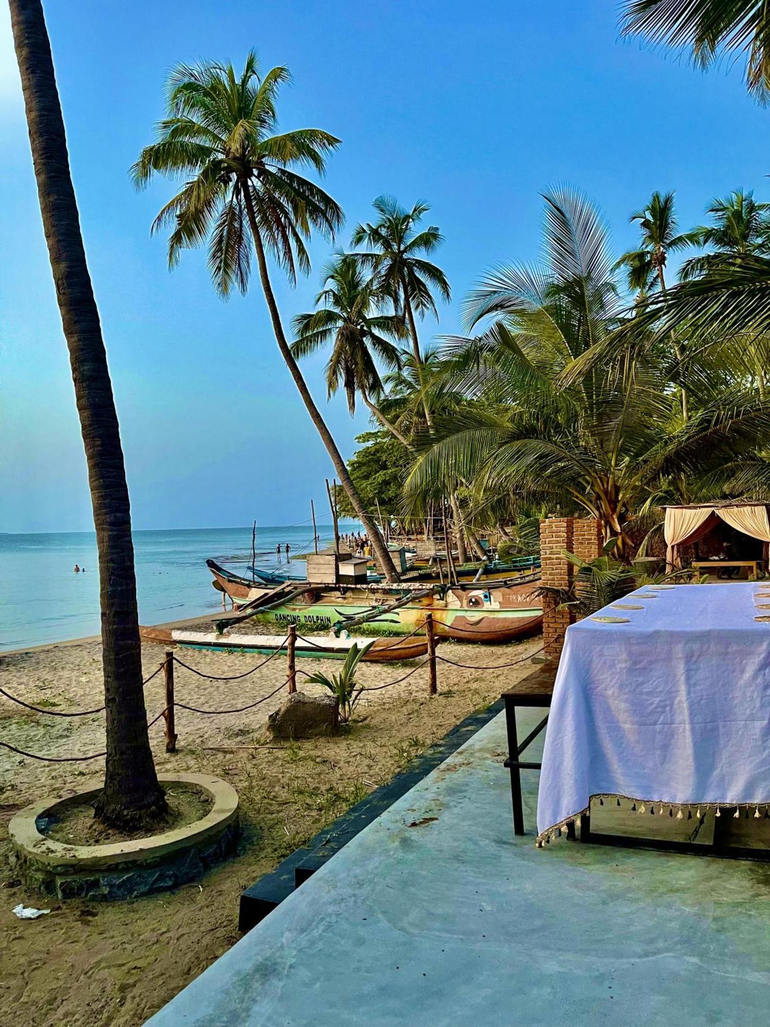 Hostel Coconut Hill Arugam Bay Zewnętrze zdjęcie